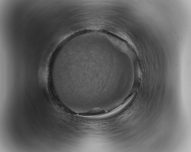X0000088690724200705311156