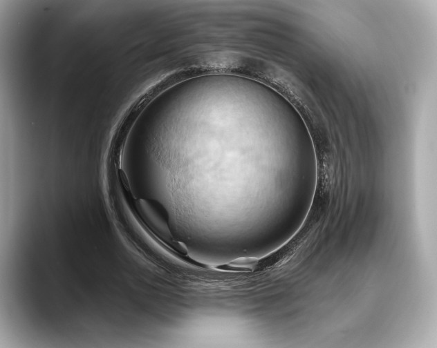 X0000088690726200705311156