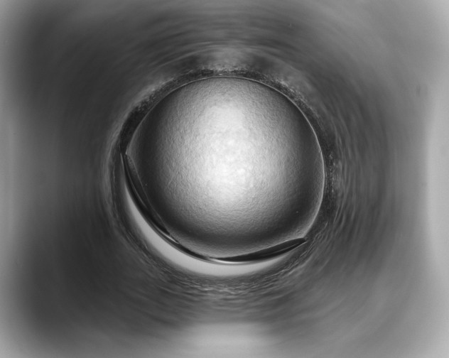X0000088690727200705311156