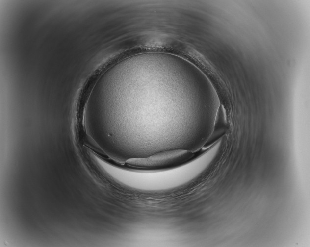 X0000088690728200705311156