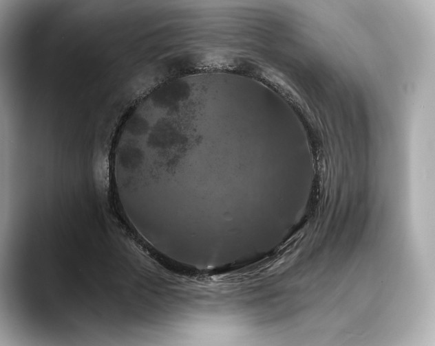 X0000088690729200705311156