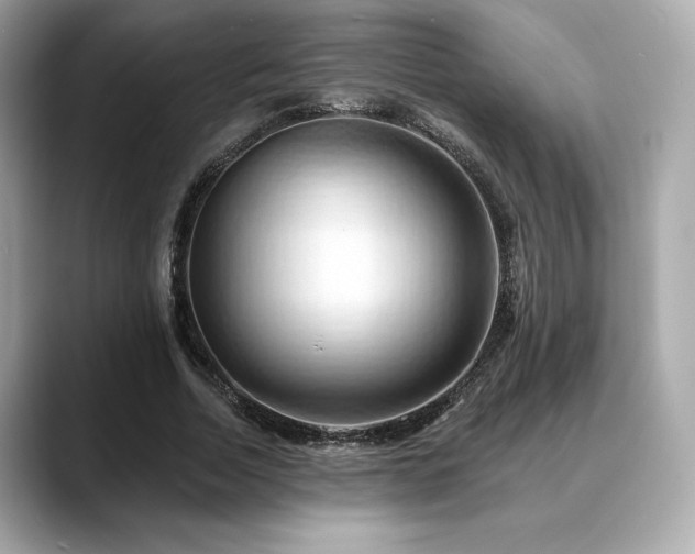 X0000088690730200705311156