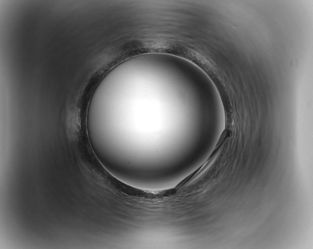 X0000088690731200705311156