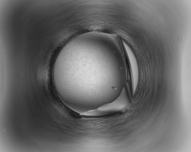 X0000088690732200705311156