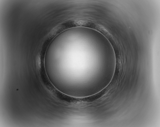 X0000088690734200705311156