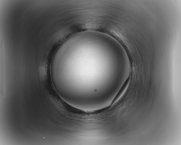 X0000088690735200705311156