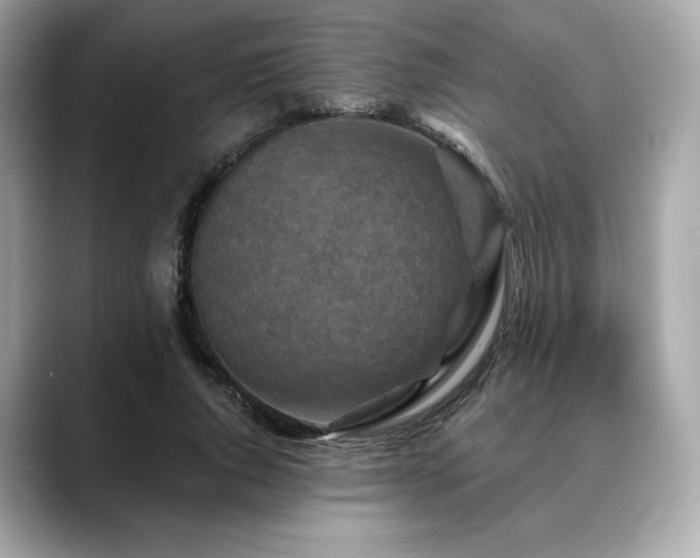 X0000088690736200705311156