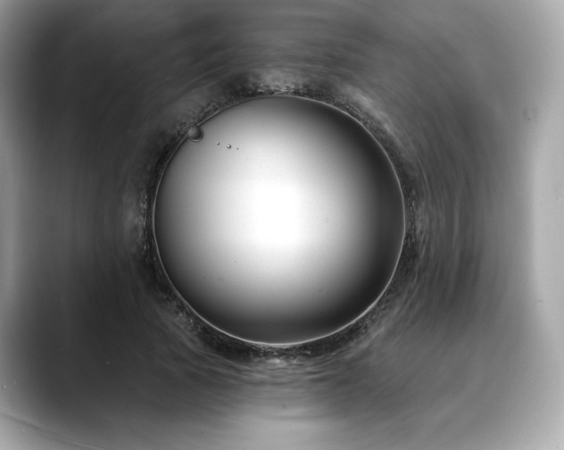 X0000088690737200705311156