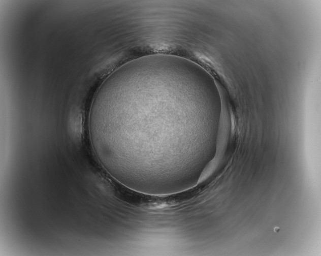 X0000088690740200705311156