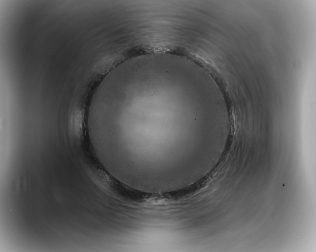 X0000088690742200705311156