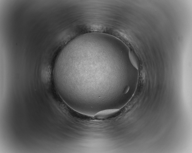 X0000088690744200705311156