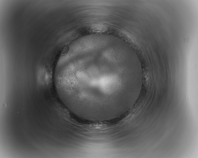 X0000088690745200705311156
