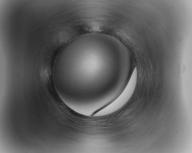 X0000088690747200705311156