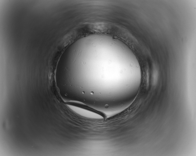 X0000088690749200705311156