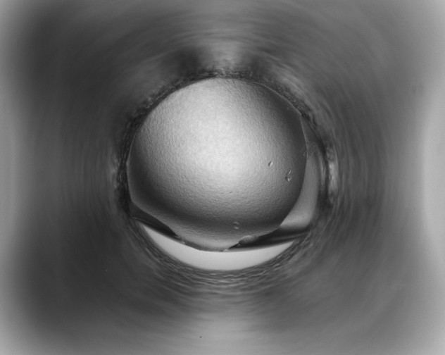 X0000088690750200705311156