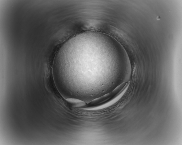 X0000088690751200705311156