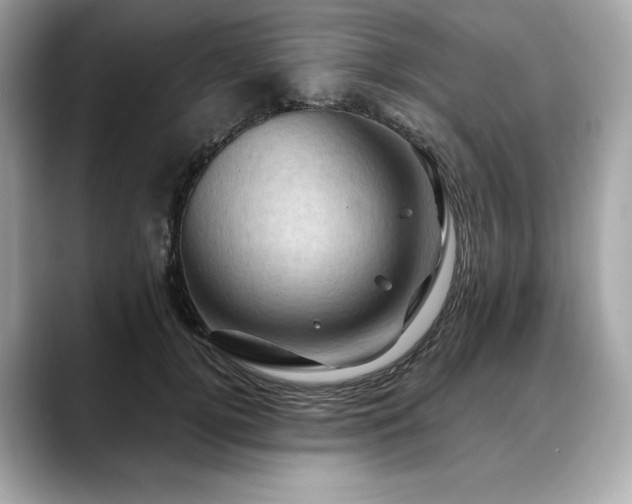 X0000088690752200705311156