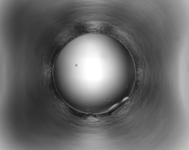 X0000088690753200705311156