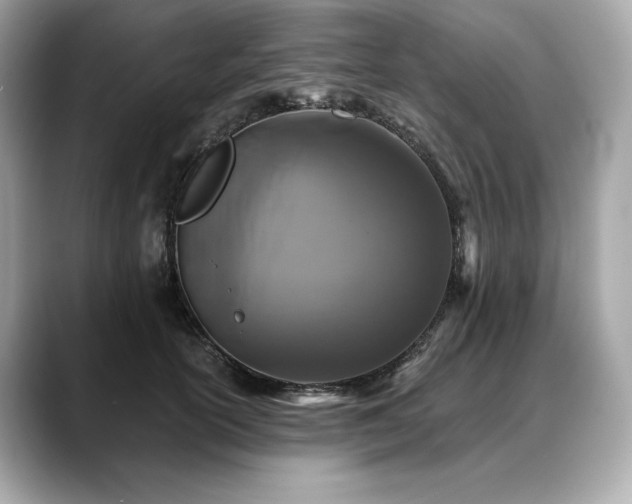 X0000088690754200705311156