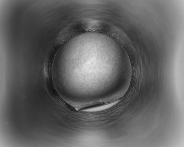 X0000088690755200705311156