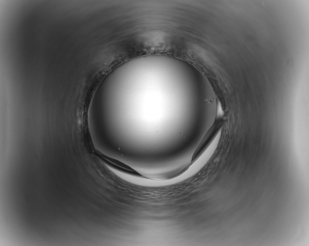 X0000088690756200705311156