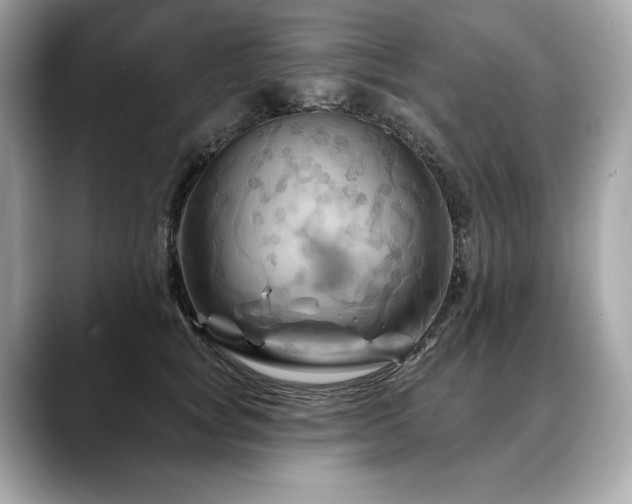 X0000088690757200705311156