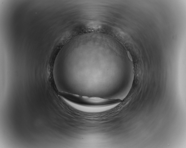 X0000088690758200705311156