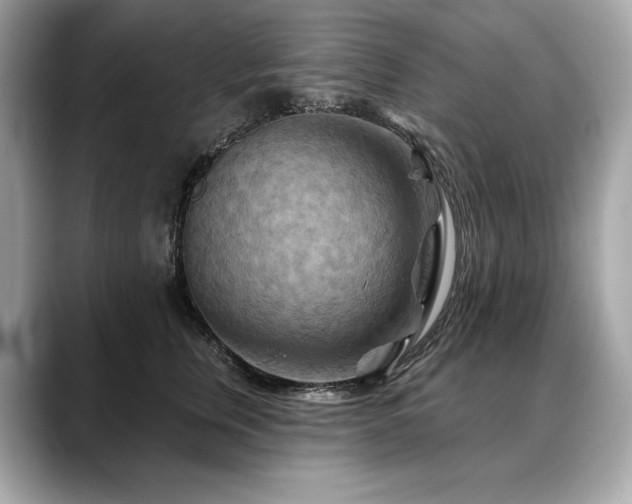 X0000088690759200705311156