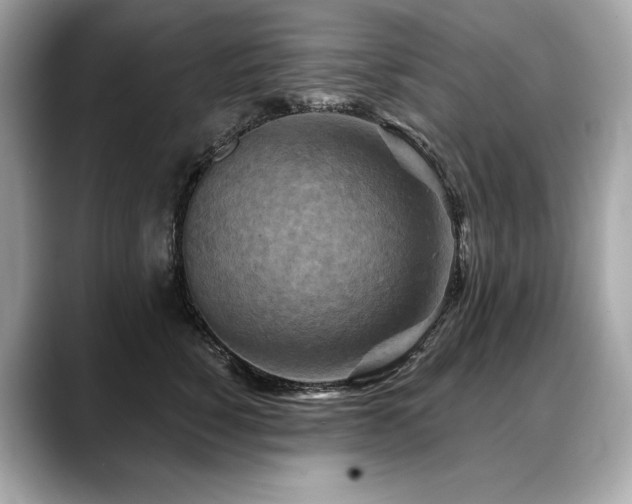 X0000088690760200705311156