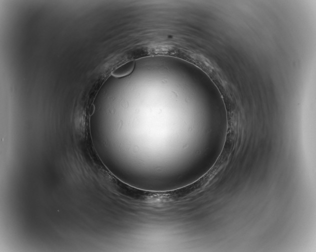 X0000088690761200705311156