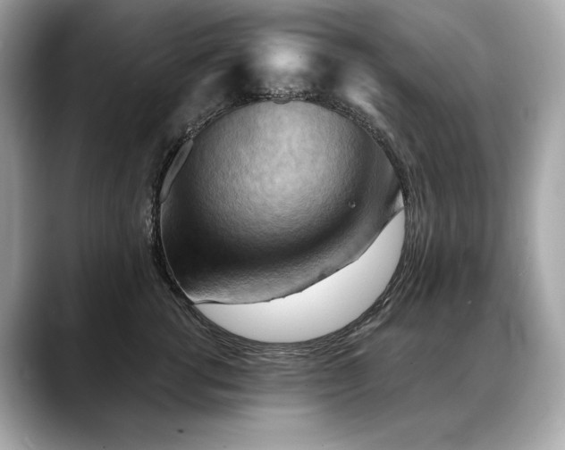 X0000088690762200705311156