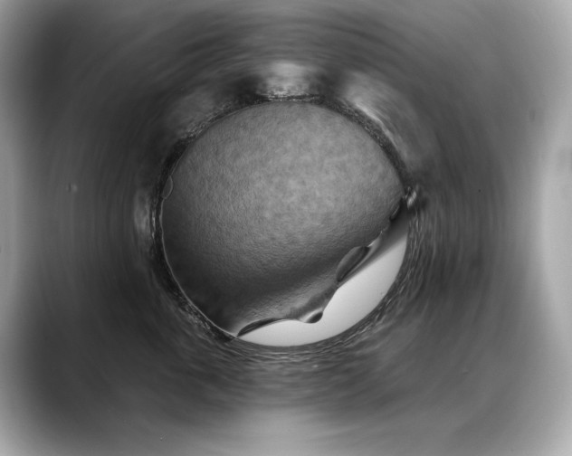 X0000088690763200705311156