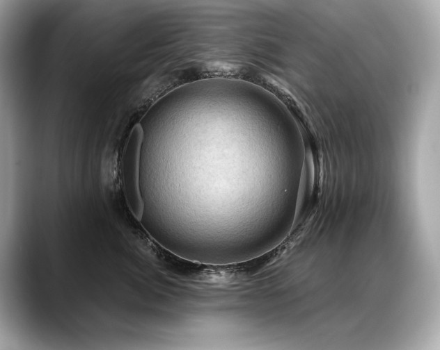 X0000088690764200705311156