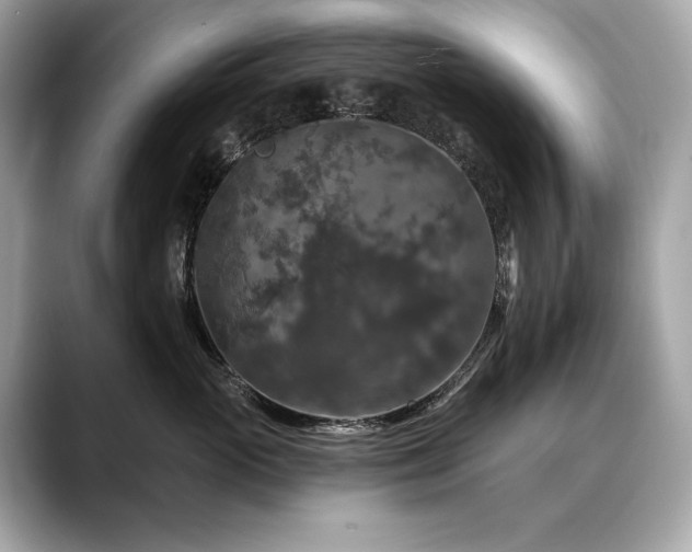 X0000088690765200705311156