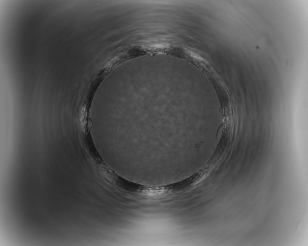 X0000088690767200705311156
