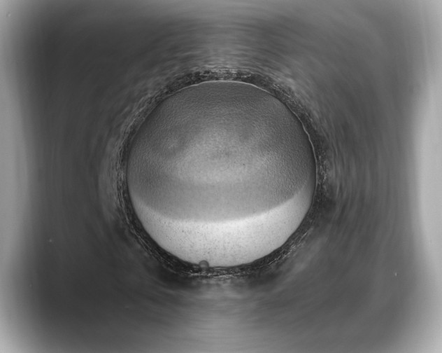 X0000088690769200705311156