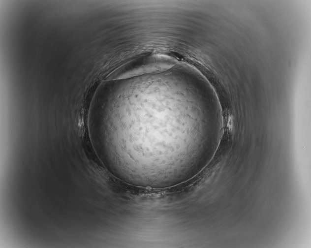 X0000088690771200705311156