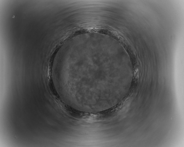 X0000088690772200705311156