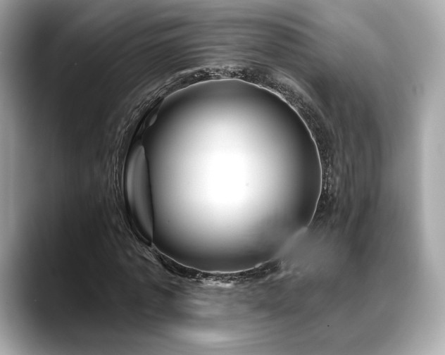 X0000088690773200705311156