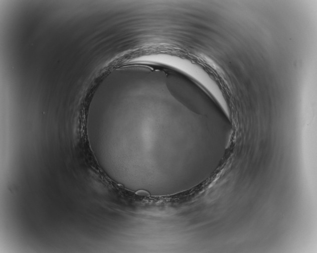 X0000088690775200705311156
