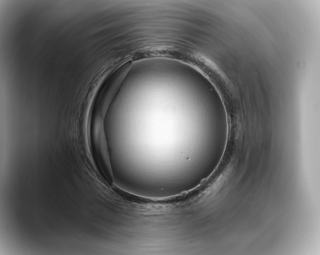 X0000088690777200705311156