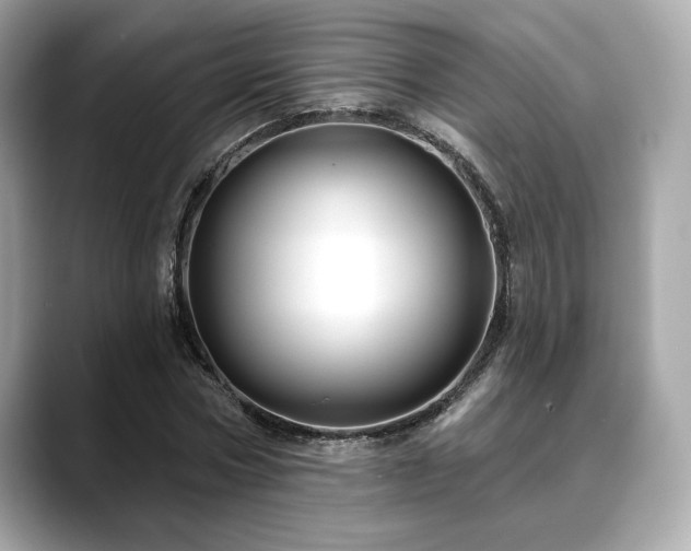 X0000088690778200705311156