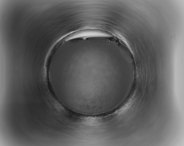 X0000088690779200705311156