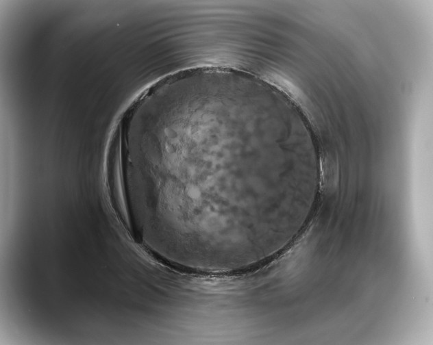 X0000088690780200705311156