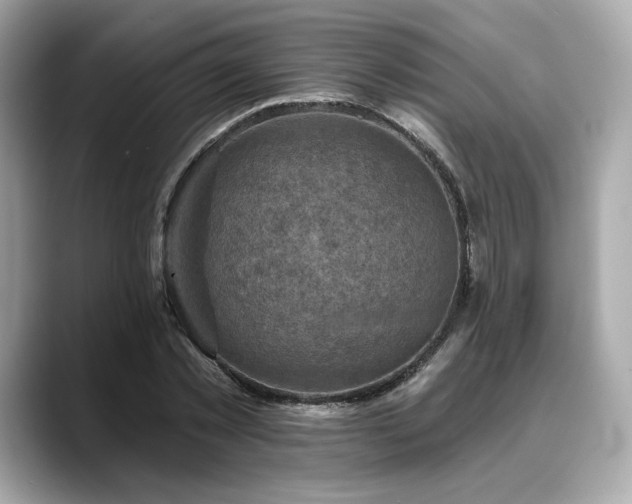 X0000088690781200705311156