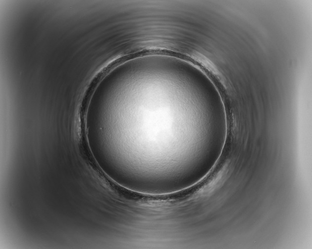 X0000088690782200705311156