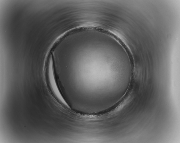 X0000088690783200705311156