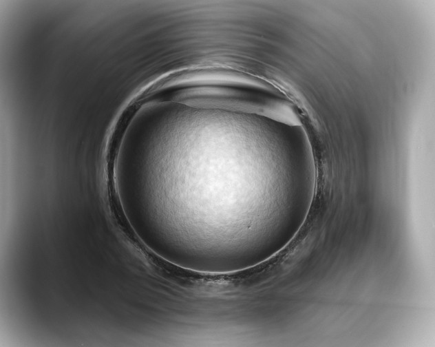 X0000088690784200705311156