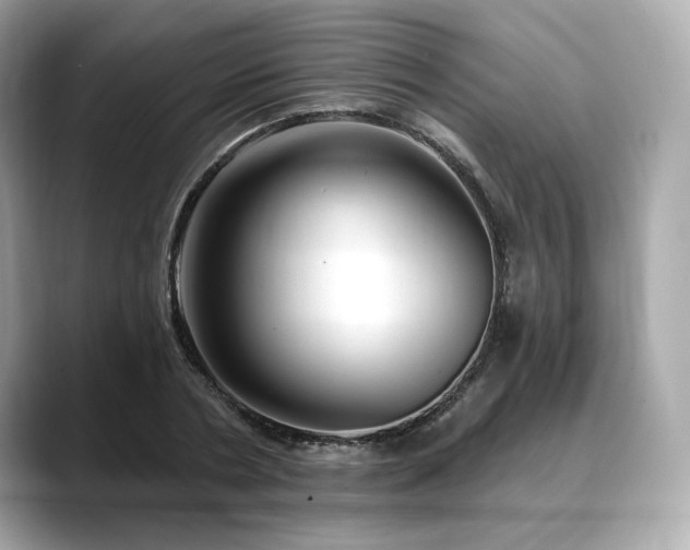 X0000088690786200705311156