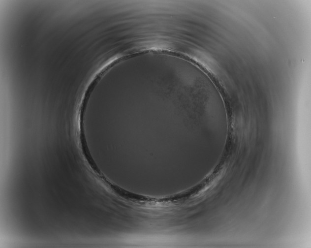 X0000088690790200705311156